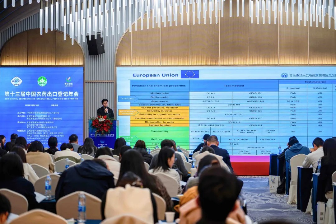 1765760018434758.jpg 1765760018434758.jpg